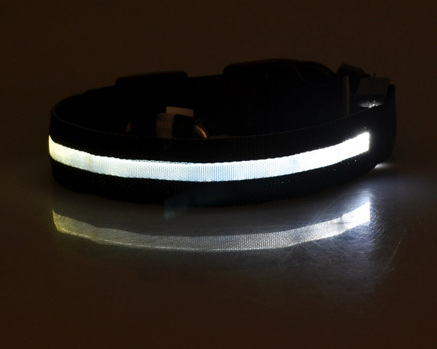 LED Glow Dog Collar – Night Safety, USB Rechargeable, Adjustable for Dogs & Cats