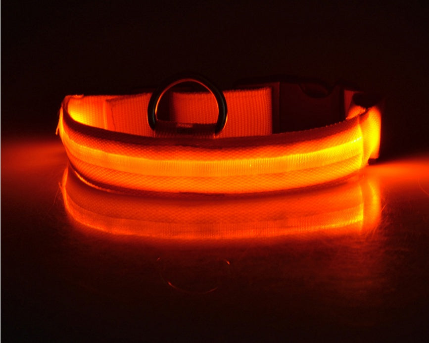 LED Glow Dog Collar – Night Safety, USB Rechargeable, Adjustable for Dogs & Cats