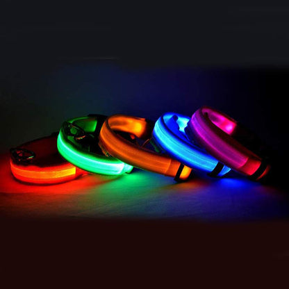 LED Glow Dog Collar – Night Safety, USB Rechargeable, Adjustable for Dogs & Cats