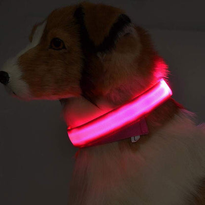 LED Glow Dog Collar – Night Safety, USB Rechargeable, Adjustable for Dogs & Cats