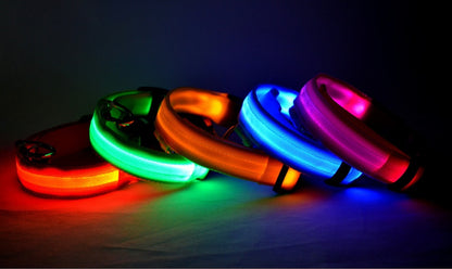 LED Glow Dog Collar – Night Safety, USB Rechargeable, Adjustable for Dogs & Cats