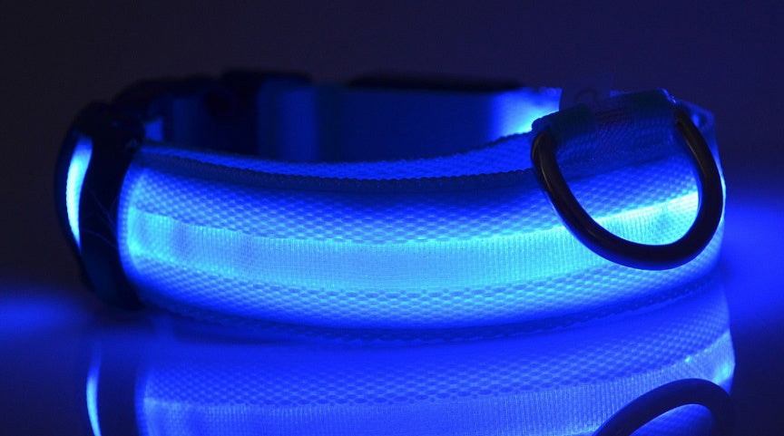 LED Glow Dog Collar – Night Safety, USB Rechargeable, Adjustable for Dogs & Cats
